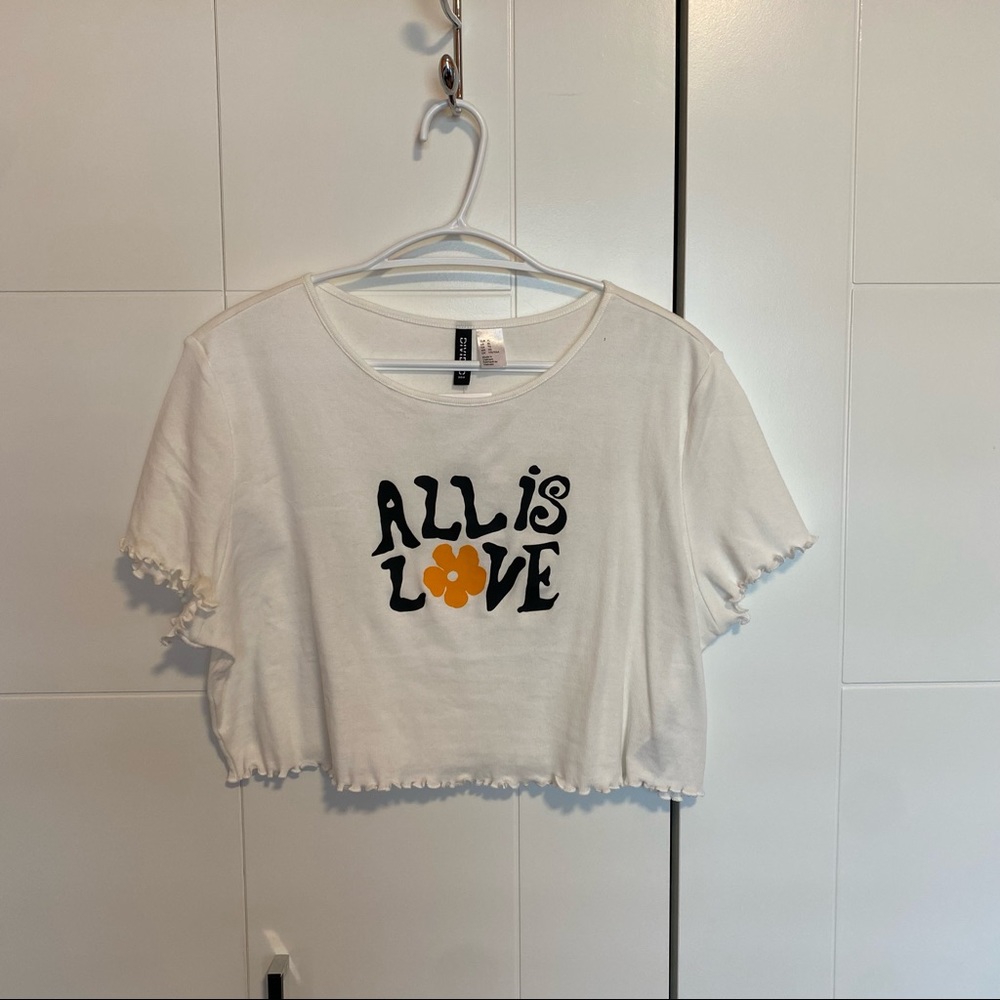 H&M Babydoll Cropped tee
